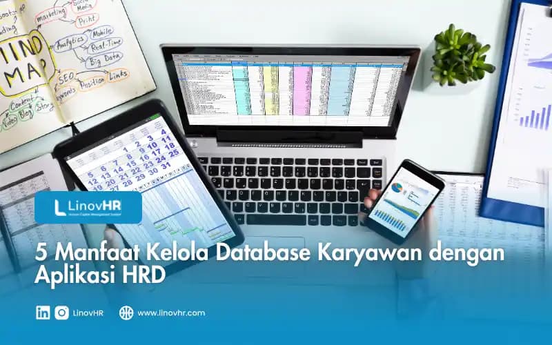 5 Manfaat Kelola Database Karyawan dengan Aplikasi HRD