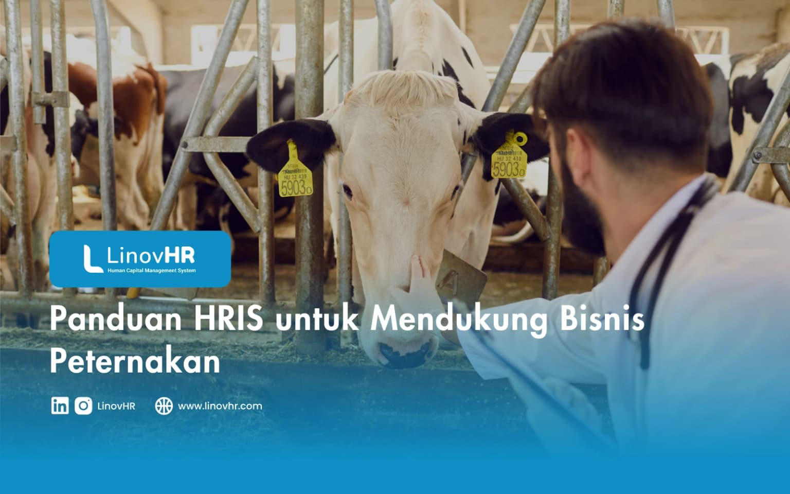 Panduan Lengkap HRIS Untuk Peternakan